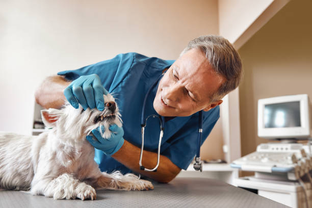 Best Emergency Tooth Extraction in Marshallton, PA